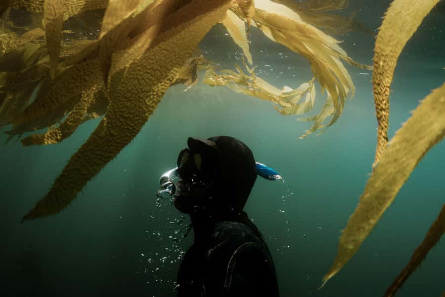 Discover Tumbatu Island: Private Snorkeling Adventure - Weather, tide, and the limits of a sea trip