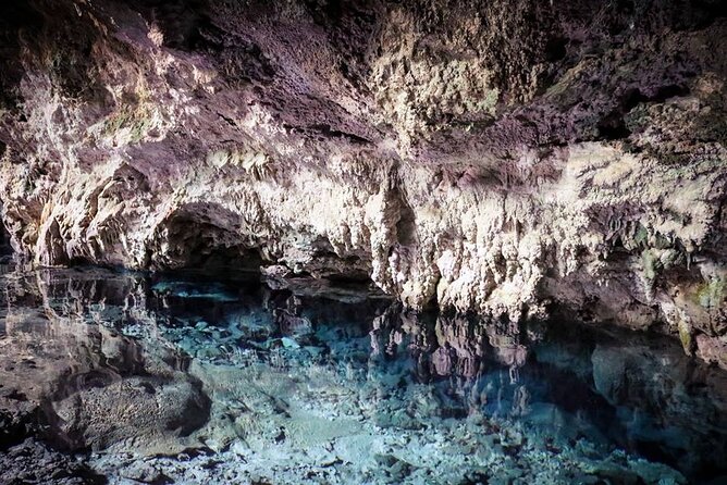 Dolphin tour, Jozani Forest, Jambiani Kuza Cave, Paje Beach &The Rock restaurent - Who will enjoy this private Zanzibar day?