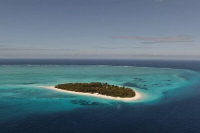 Dolphin Tour, Jozani Forest Tour, Kuza Cave Tour, Paje Beach,The Rock Restaurant