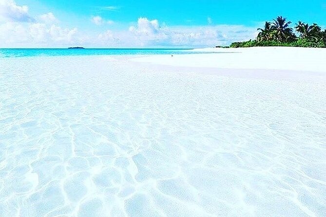 Dolphin Tour, Jozani Forest Tour, Kuza Cave Tour, Paje Beach,The Rock Restaurant - Paje Beach: a short pause by the Indian Ocean