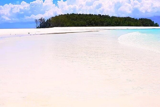 Dolphin Tour, Jozani Forest Tour, Kuza Cave Tour, Paje Beach,The Rock Restaurant - What $128 per person really buys