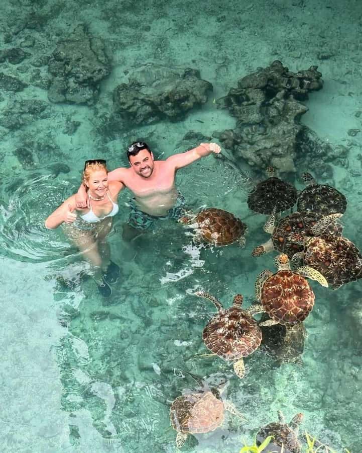 Dolphins in Mnemba Island, Sea Turtles & Rock Restaurant - Key points to know before booking