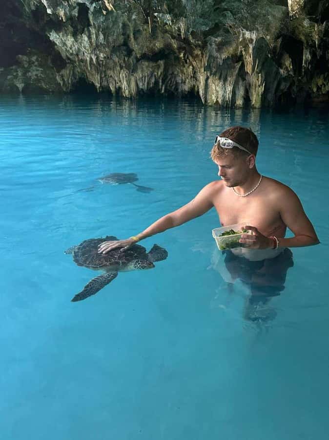 Dolphins in Mnemba Island, Sea Turtles & Rock Restaurant - Mnemba Island snorkeling sets the tone