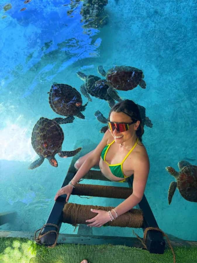 Dolphins in Mnemba Island, Sea Turtles & Rock Restaurant - Dolphin watching comes with a sensible caveat