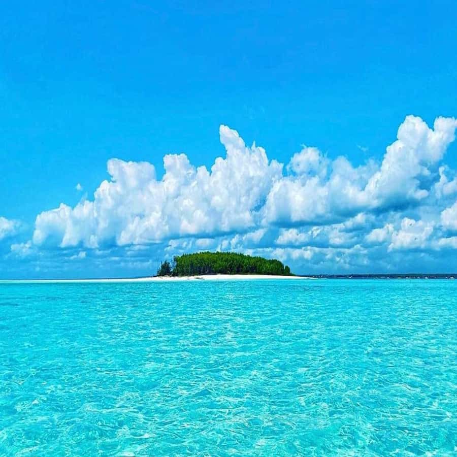 Dolphins & Snorkeling Zanzibar: Mnemba Island Tour - Getting from your hotel to the northeast coast