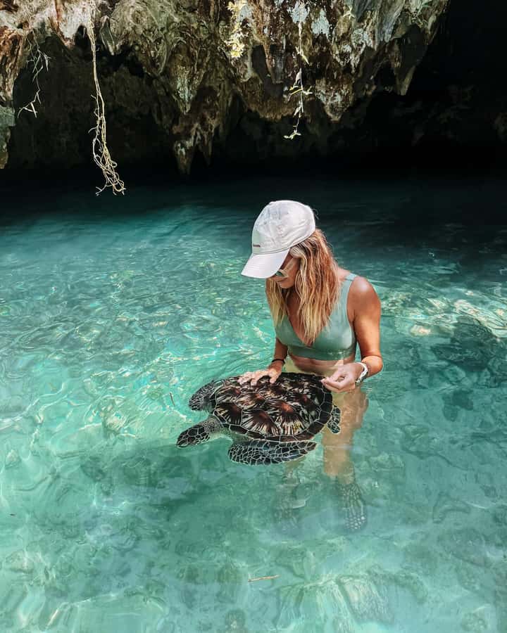 Dolphins tour + mnemba island snorkeling + salaam turles - At a glance: what makes this tour worth considering