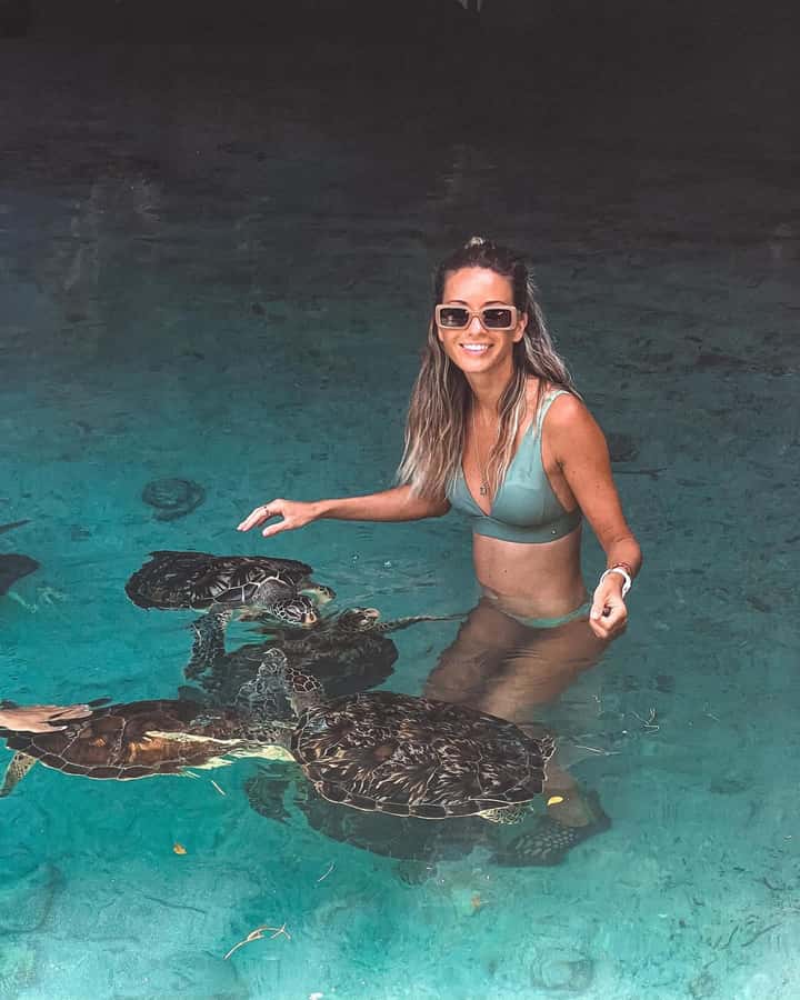 Dolphins tour + mnemba island snorkeling + salaam turles - The boat ride and the search for dolphins