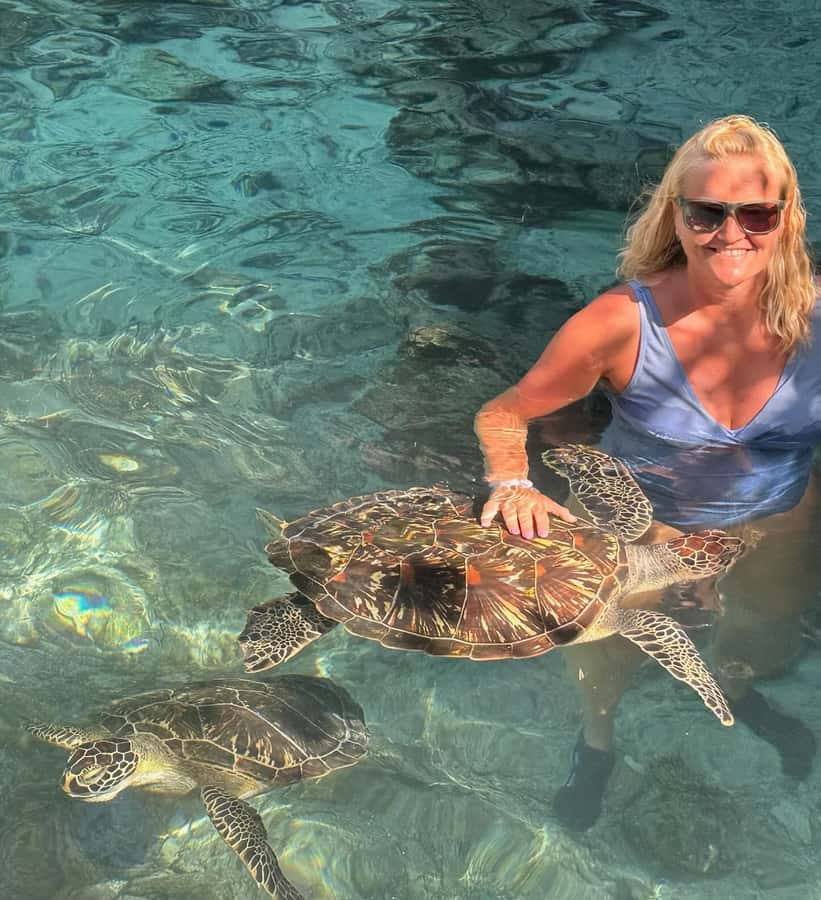 Dolphins tour + mnemba island snorkeling + salaam turles - Pickup from Stone Town, Nungwi, and the beach hotels