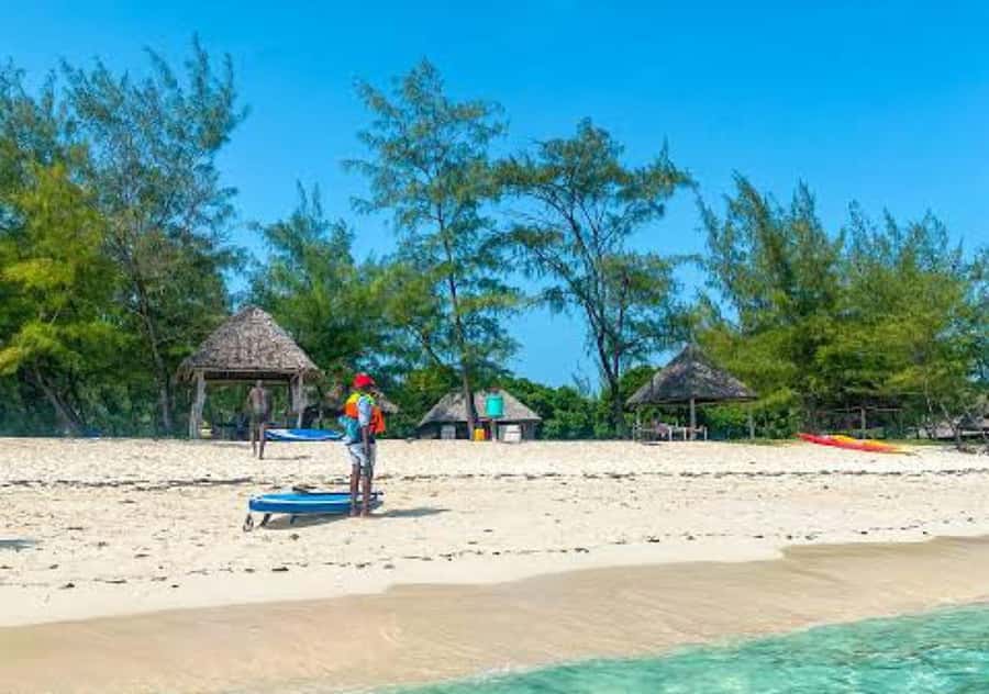 Escape to Paradise A day of sun, sand and adventure Mbudya - Key points to know before you go