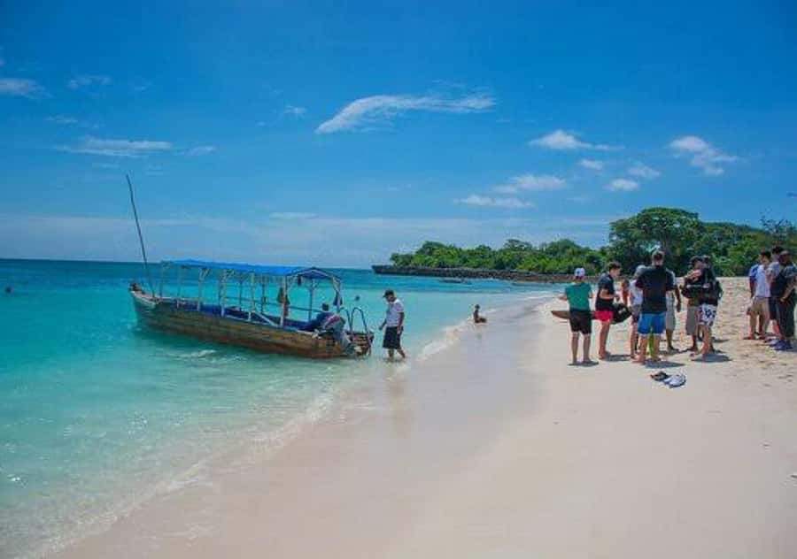 Escape to Paradise A day of sun, sand and adventure Mbudya - Snorkeling and swimming in the morning