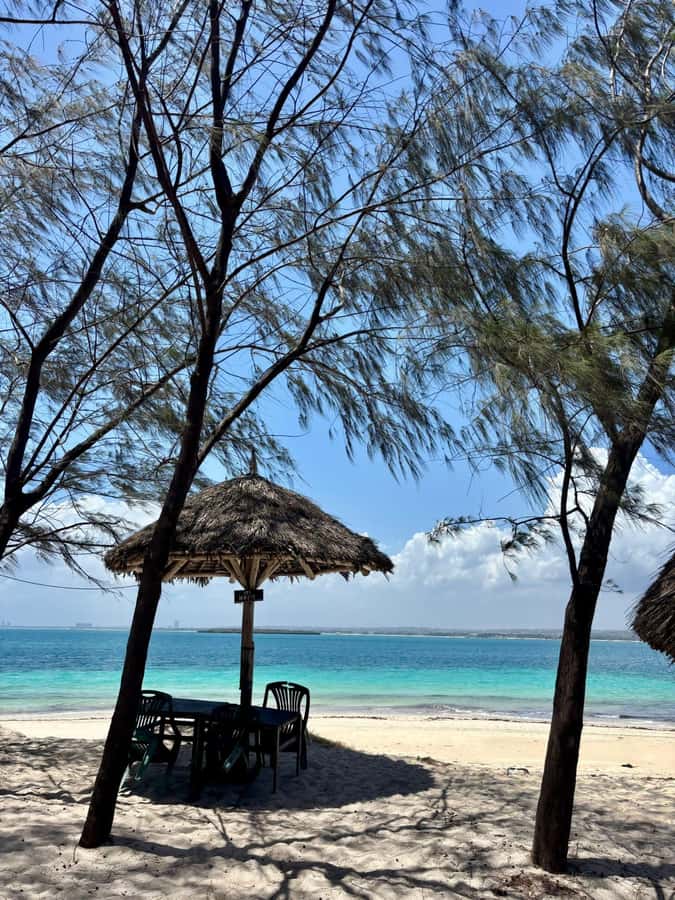 Escape to Paradise A day of sun, sand and adventure Mbudya - Exploring the shoreline at 2:00 PM