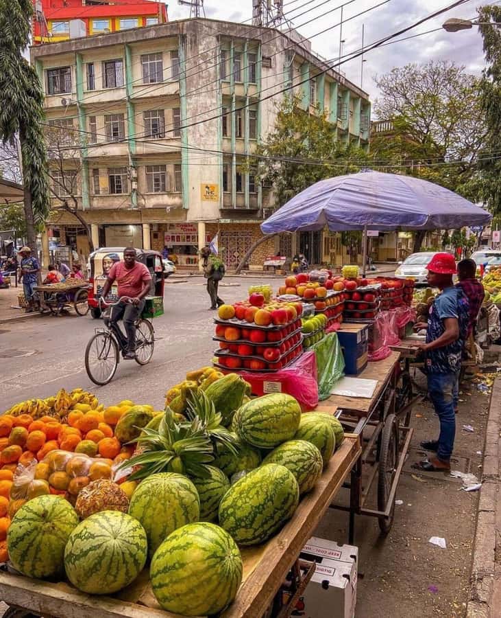 Explore Dar es Salaam: Full-Day Private City Tour - University of Dar es Salaam and Makumbusho Village