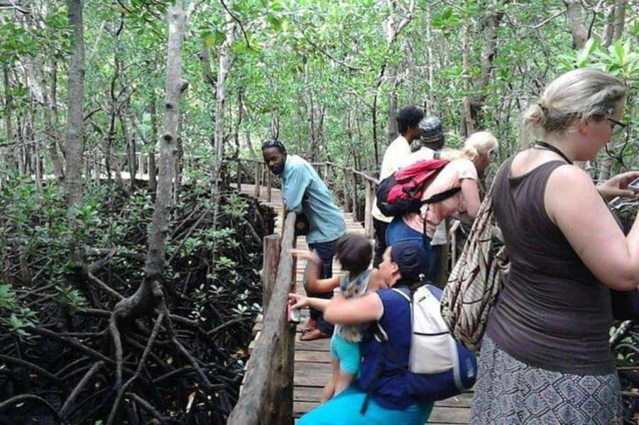 Explore Jozani Forest and Zanzibar Spice Farm - Following the scent trail at the spice farm