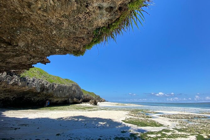 Explore Zanzibar's 6 Quintessential Southeastern Charm Full day - Kizimkazi Dimbani and the Salaam Cave