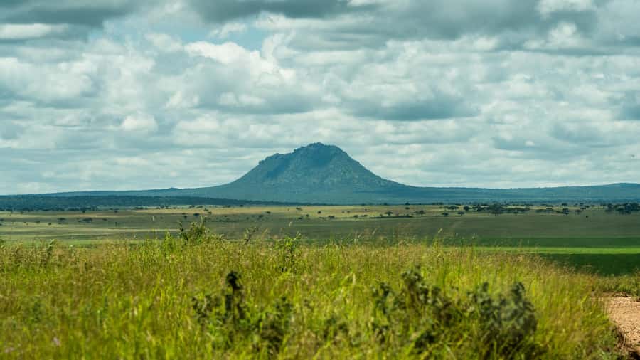 From Arusha: 2-Day Safari Through Tarangire and Lake Manyara - The value of a $669 private safari