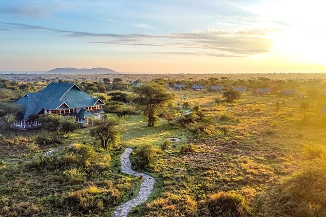 From Arusha : 3 Days Private Safari Tarangire N.P and Serengeti - The Main Limitations to Think About