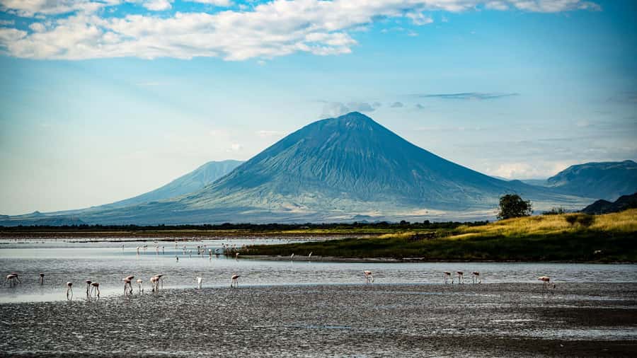 From Arusha:3Day Flamingo Safari Magic Lake Natron Tarangire - Day three: walking beside Lake Natron
