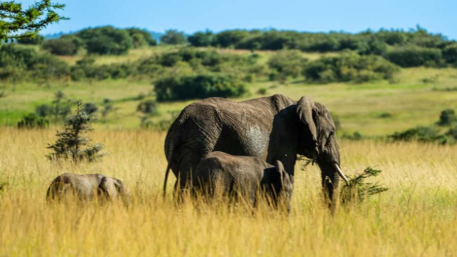 From Arusha:3Day Flamingo Safari Magic Lake Natron Tarangire - Who this three-day safari suits best