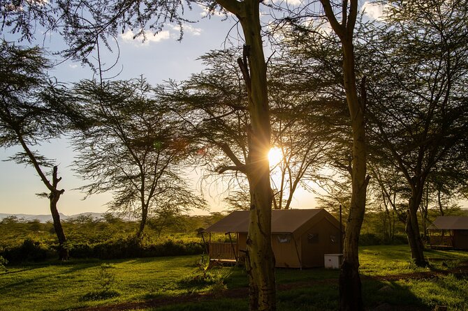 From Arusha: 5 Days Classic Safari Cats, Calves & Crater - Guides, private travel, and the human side