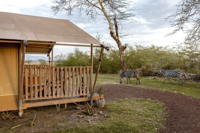 From Arusha: 7 Days Classic Safari Central Northern Circuit - A practical northern Tanzania safari from Arusha