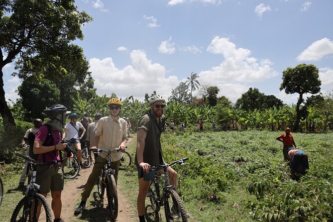 From Arusha: 7 Days Classic Safari Central Northern Circuit - Day 6: Down into the Ngorongoro Crater