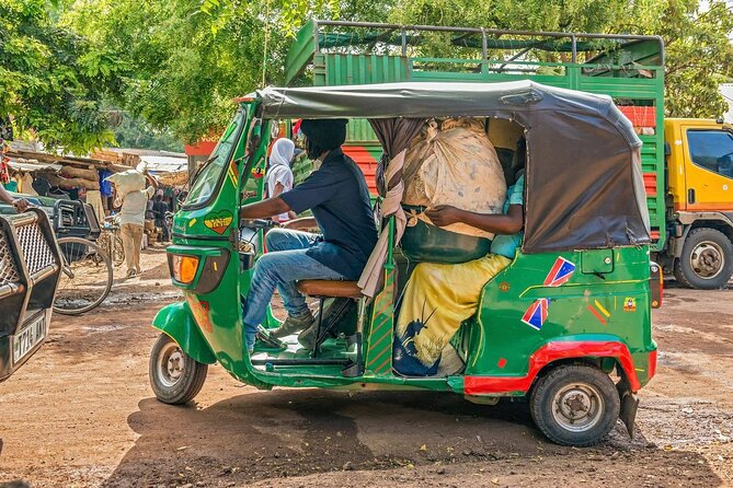From Arusha: 7 Days Classic Safari Central Northern Circuit - Day 7: Returning to Arusha