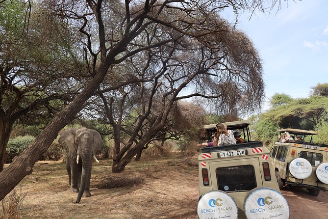From Arusha: 9 Days Private Guided Classic Game Drive in Tanzania - Day 4: A wildlife transfer through Loliondo to Ololosokwan