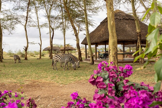 From Arusha: 9 Days Private Guided Classic Game Drive in Tanzania - Day 8: Ngorongoro Crater and the Big Five