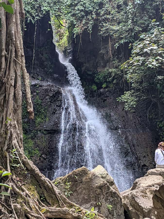 From Arusha: Coffee Farm and Mangalia Waterfalls Tour - Key points at a glance