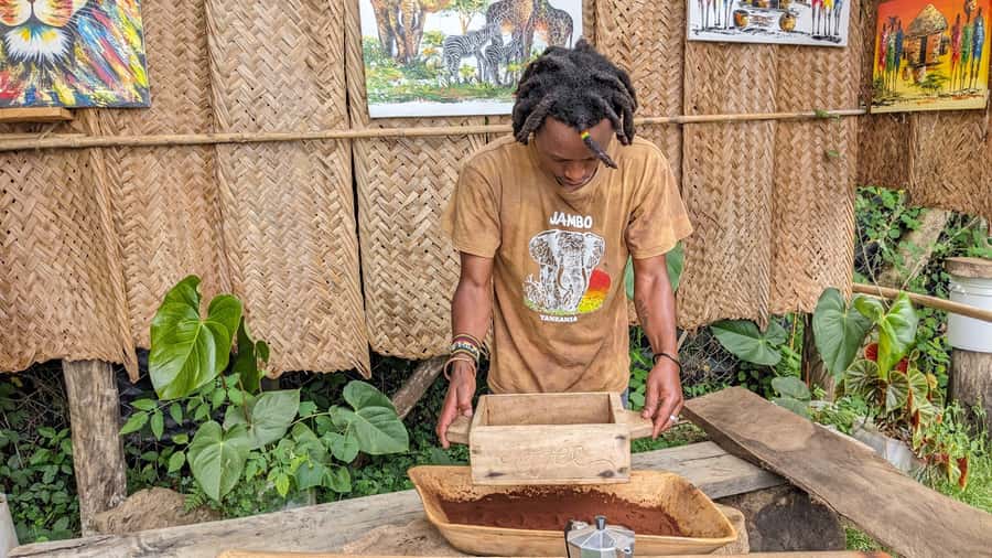 From Arusha: Coffee Farm and Mangalia Waterfalls Tour - Why this short Arusha outing works