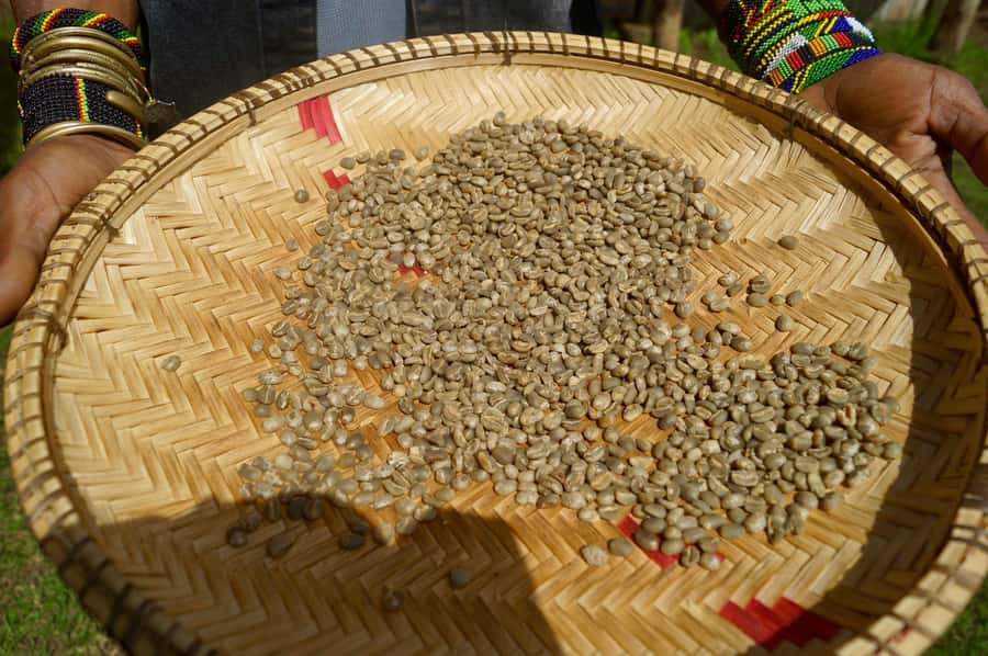From Arusha: Coffee Farm and Mangalia Waterfalls Tour - What the guides add to the experience