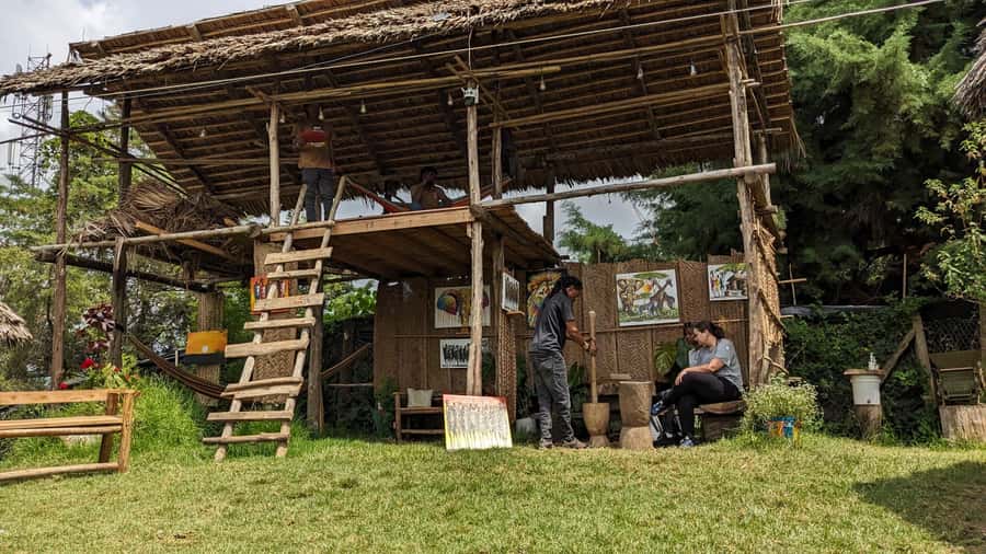 From Arusha: Coffee Farm and Mangalia Waterfalls Tour - Should you book the Mangalia Waterfalls and coffee tour?