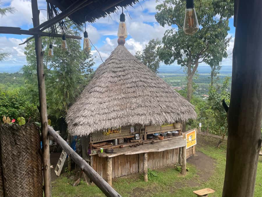 From Arusha: Coffee Farm and Mangalia Waterfalls Tour - The coffee farm: from plant to fresh cup