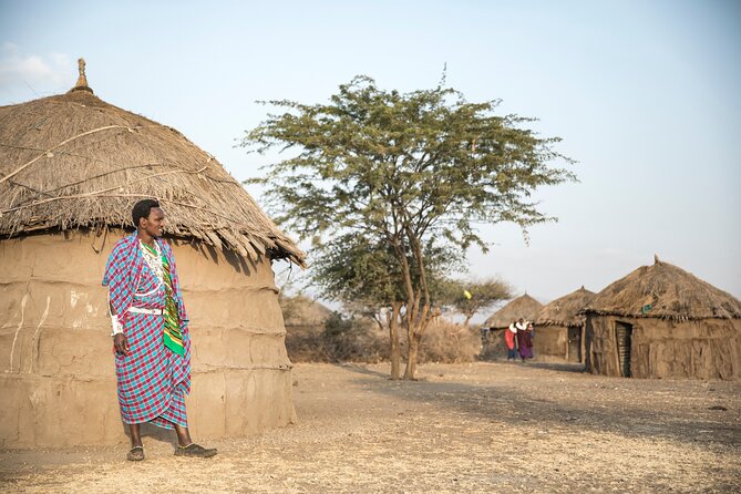 From Arusha : Days Safari Northern Circuit to Maasai Boma - What the four days really give you
