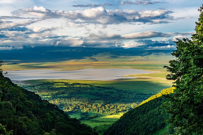 From Arusha : Days Safari Northern Circuit to Maasai Boma - Day 4: Lake Manyara and the final game drive