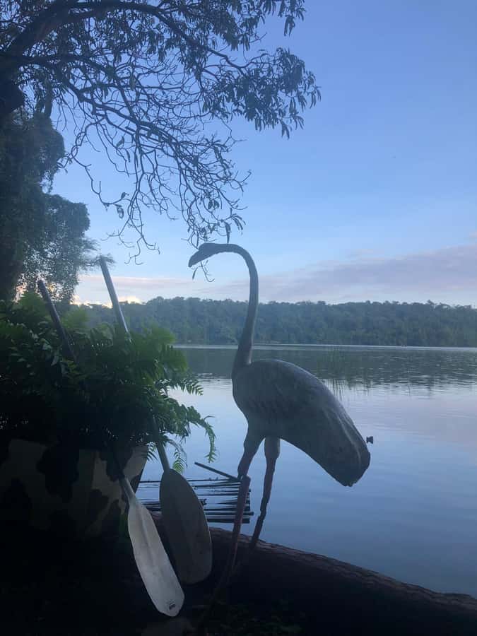 From Arusha: Lake Duluti Boat Adventure & Hike - Key points at a glance