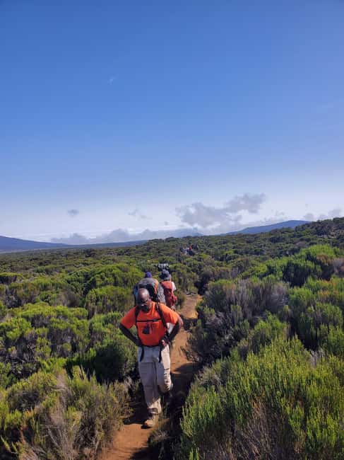 From Arusha/Moshi: Kilimanjaro Hike Marangu Route Day Trip - Walking through Kilimanjaro’s rainforest