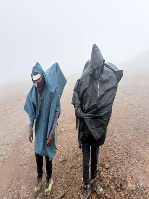 From Arusha/Moshi: Kilimanjaro Hike Marangu Route Day Trip - The guides, driver, and overall organization