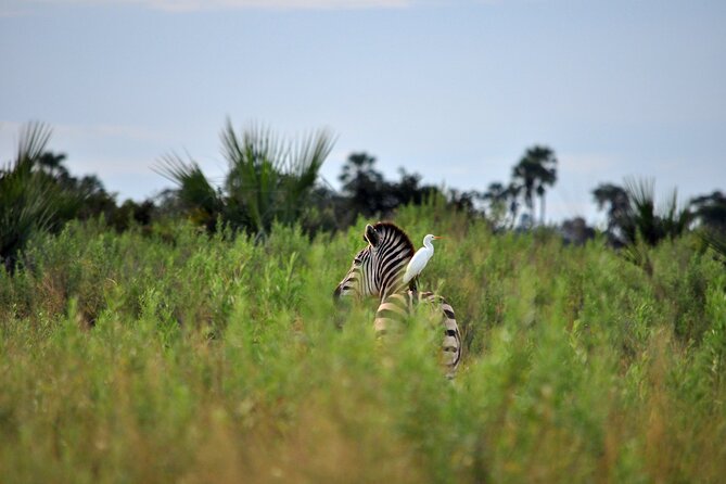 From Arusha: Tarangire and Ngorongoro Crater 3-Day Private Safari - What the private format changes