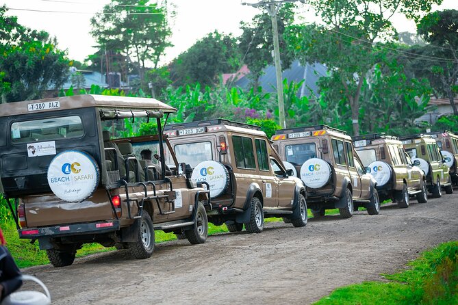 From Arusha: Tarangire and Ngorongoro Crater 3-Day Private Safari - What the guide feedback tells you