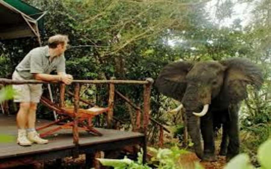 From Dar Es Salaam: Mikumi National Park 2 Nights and 3 Days - Camp Bastian: What the two-night stay adds