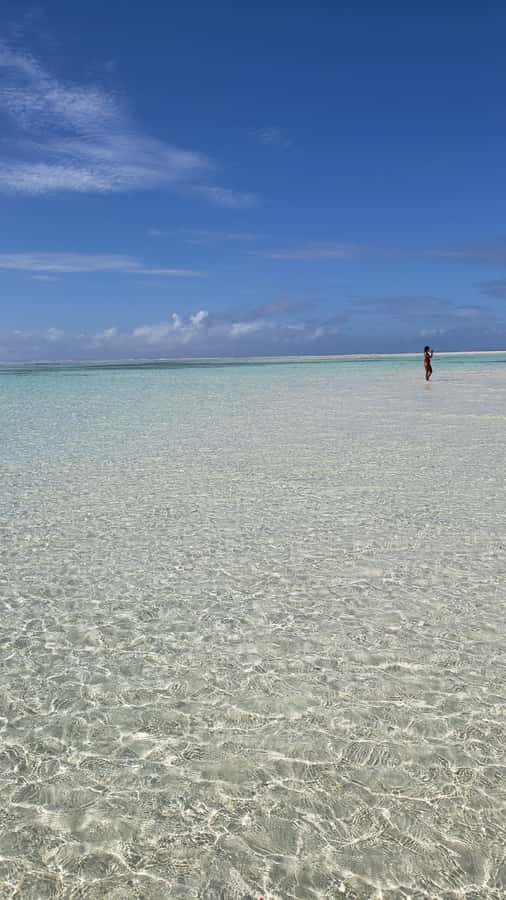 From Kendwa: Mnemba Boat Trip and Dolphin Snorkel Adventure - Key points to know before you go