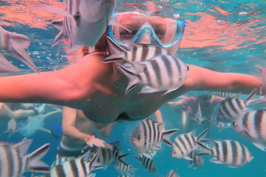 From Kendwa: Mnemba Boat Trip and Dolphin Snorkel Adventure - Snorkeling around Mnemba Atoll