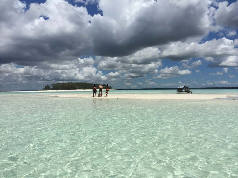 From Kendwa: Mnemba Boat Trip and Dolphin Snorkel Adventure - Final booking advice