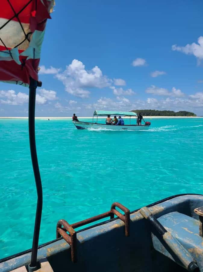 FROM KENDWA; Mnemba snorkelling and Dolphin tour - Snorkelling among coral and fish