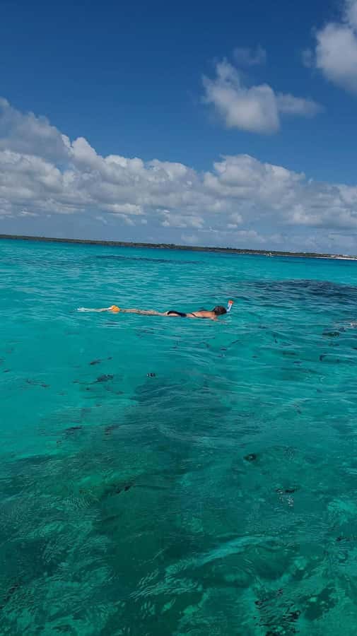 FROM KENDWA; Mnemba snorkelling and Dolphin tour - What the $45 price really covers