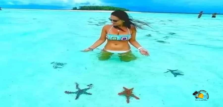 From Nungwi/Kendwa: Mnemba Atoll Starfishes & Dolphins Tour - Snorkeling Around Mnemba Island