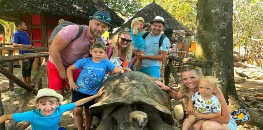 From Nungwi/Kendwa: Prison Island & Nakupenda Sandbank Tour - Key points to know before booking