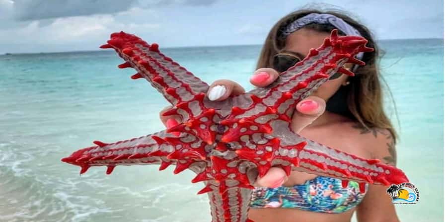 From Nungwi/Kendwa: Prison Island & Nakupenda Sandbank Tour - Seafood barbecue with Zanzibar flavors