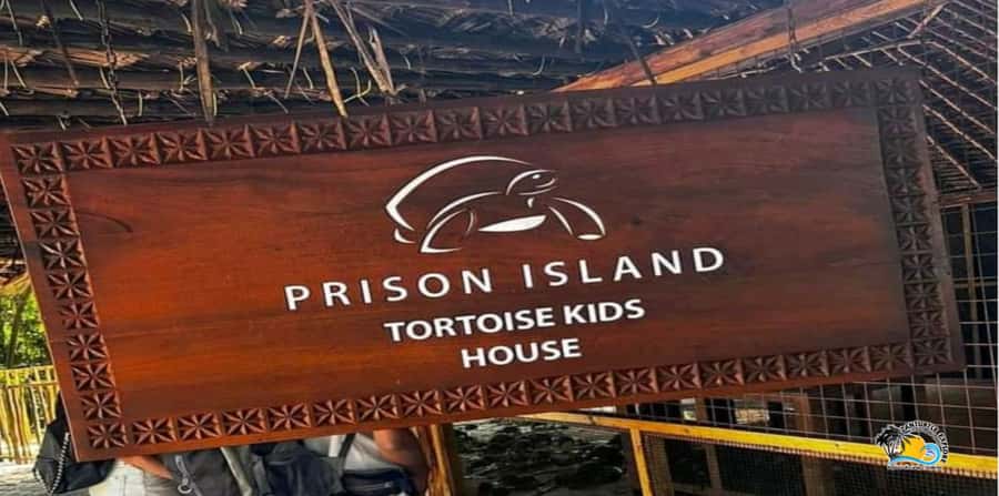 From Nungwi/Kendwa: Prison Island & Nakupenda Sandbank Tour - Should you book this Prison Island tour?